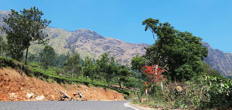 Munnar Trivandrum holiday packages